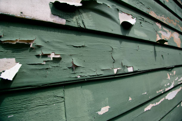  Rosedale, CA Junk Removal Pros